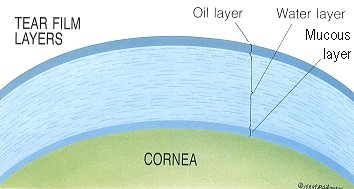 Tear Film Layers Illustration