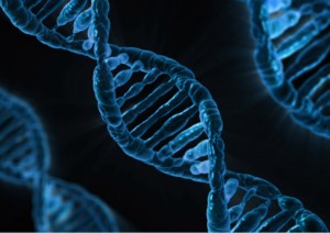 UV Light Causes DNA Damage