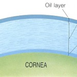 tear film layers