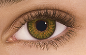 FreshLook ONE-DAY Hazel Sample