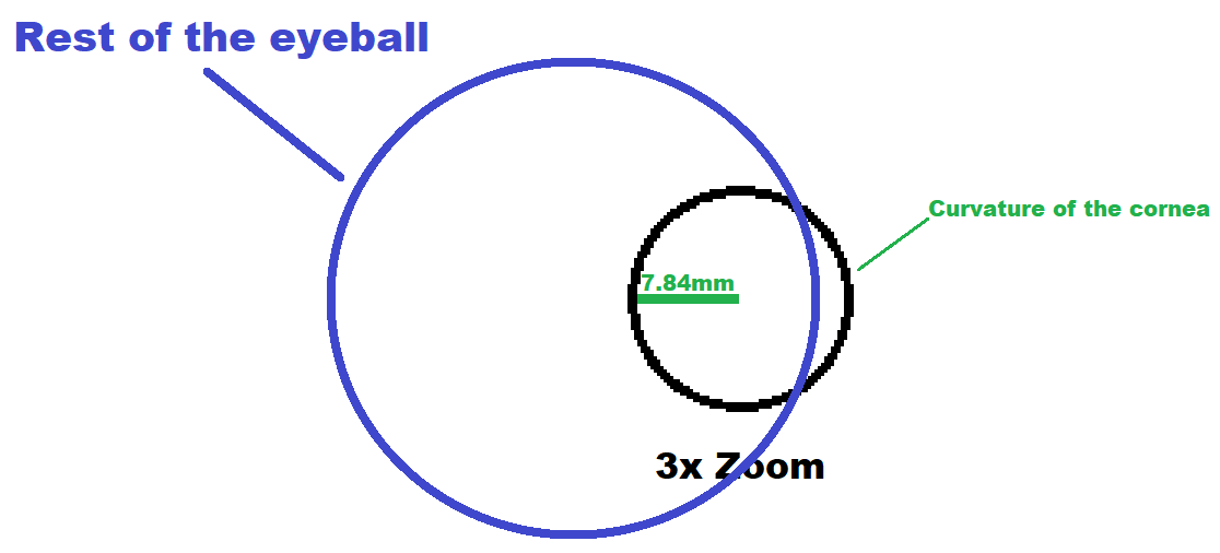 Curvatures of the cornea and the rest of the eyeball